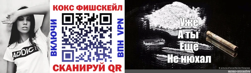 Кокаин Fish Scale  Купить  Новоузенск 