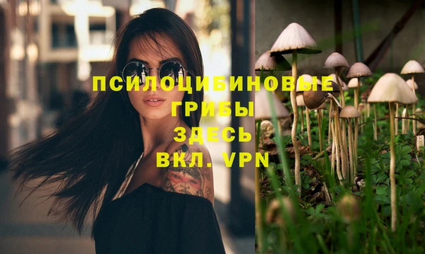 хмурый Навашино