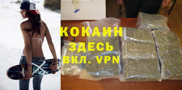 сатива Наволоки