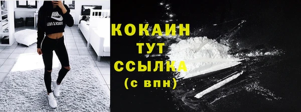 сатива Наволоки