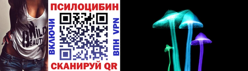 Псилоцибиновые грибы Psilocybine cubensis  Купить закладки  Новоузенск 